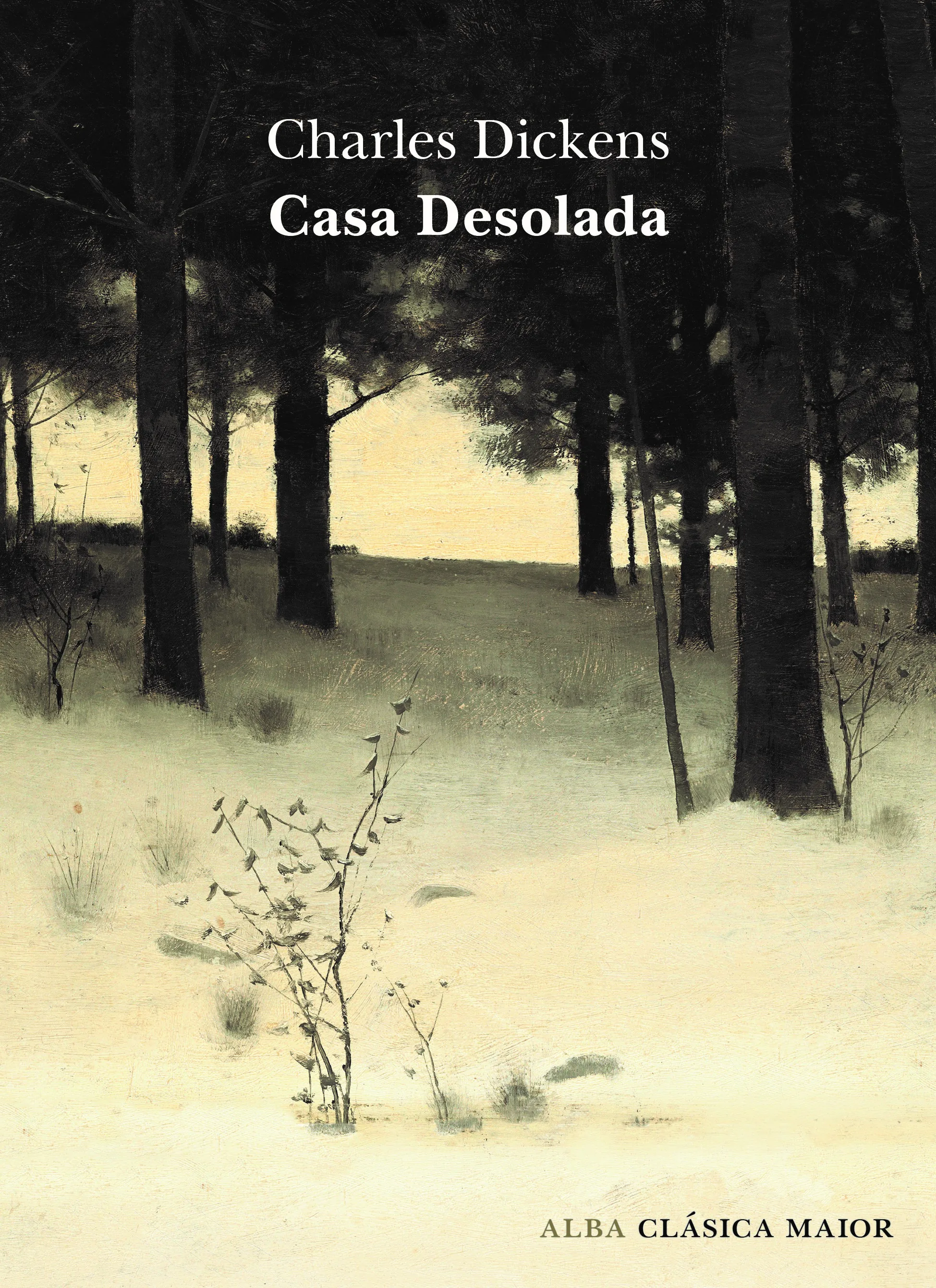 Portada de Casa desolada