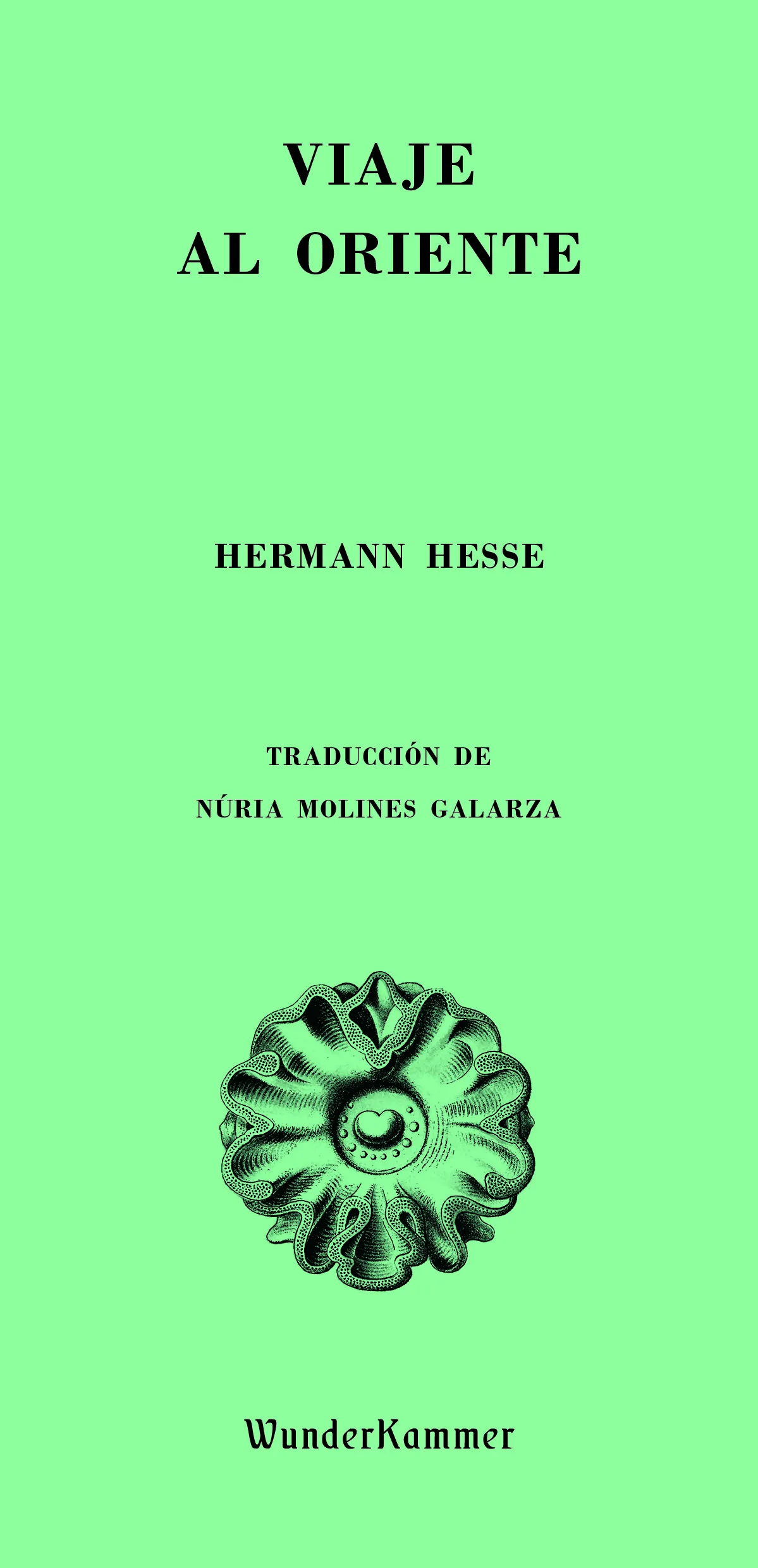 Portada — Wunderkammer (ISBN 9788412743128)