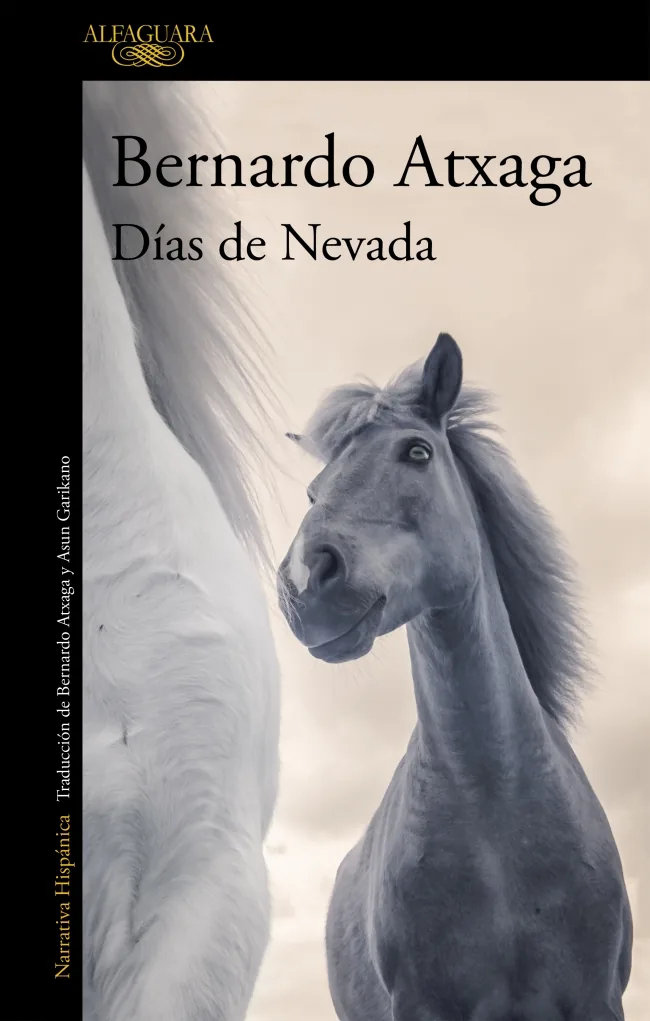 Portada — ALFAGUARA (ISBN 9788420415987)