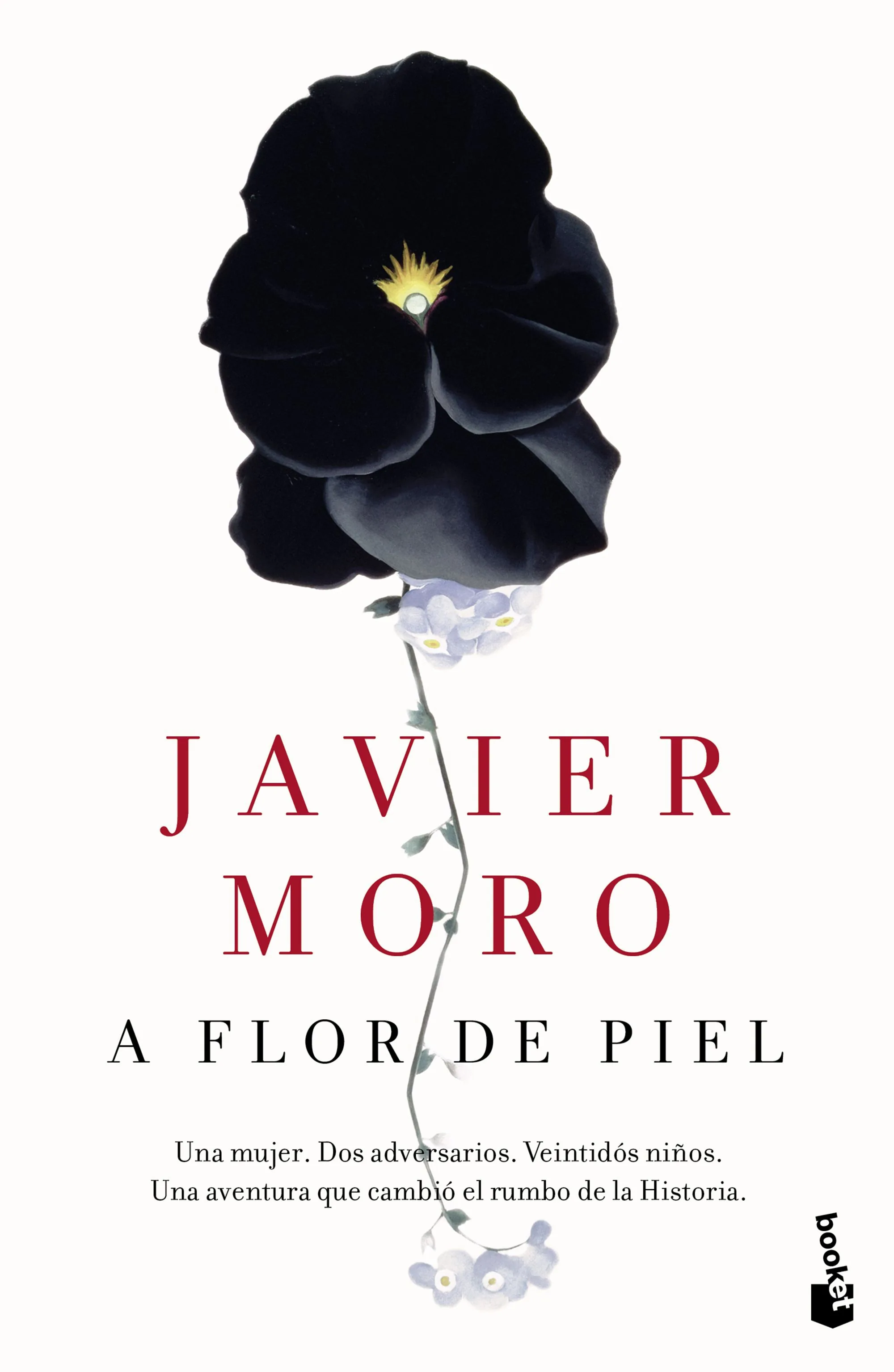 Portada — Booket (ISBN 9788432229350)