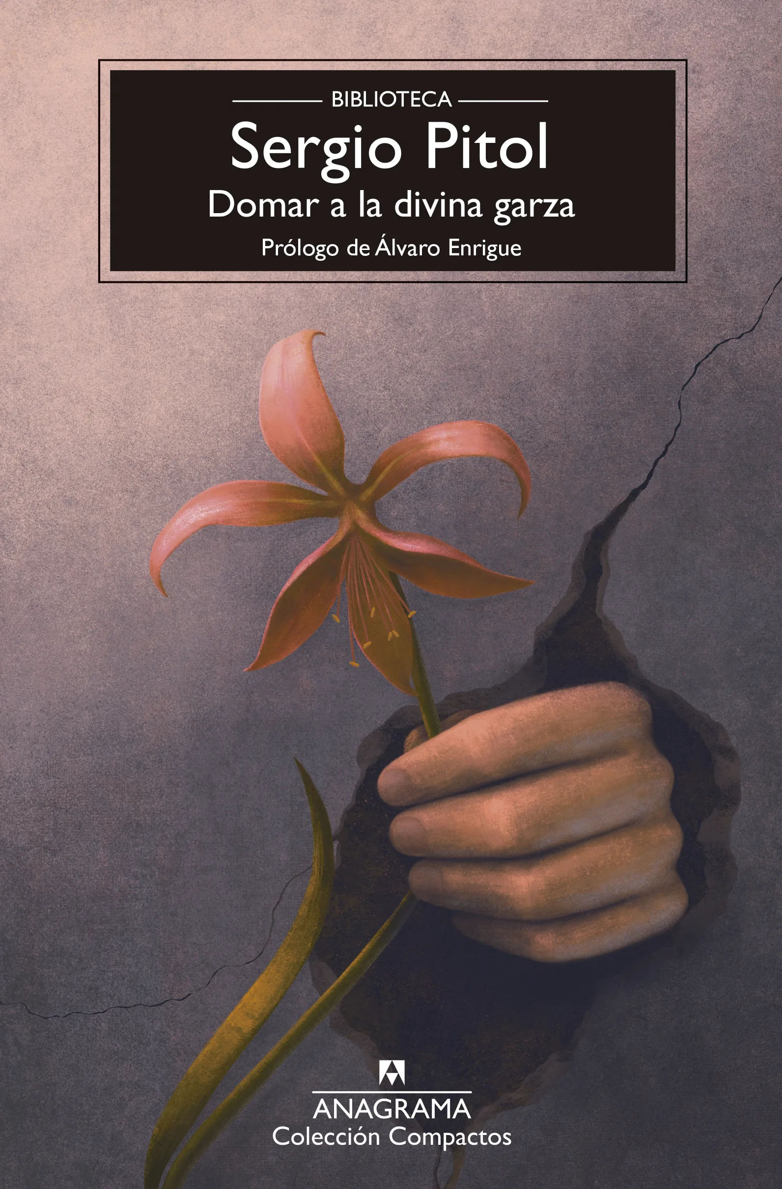 Portada — Editorial Anagrama S.A.U. (ISBN 9788433950987)