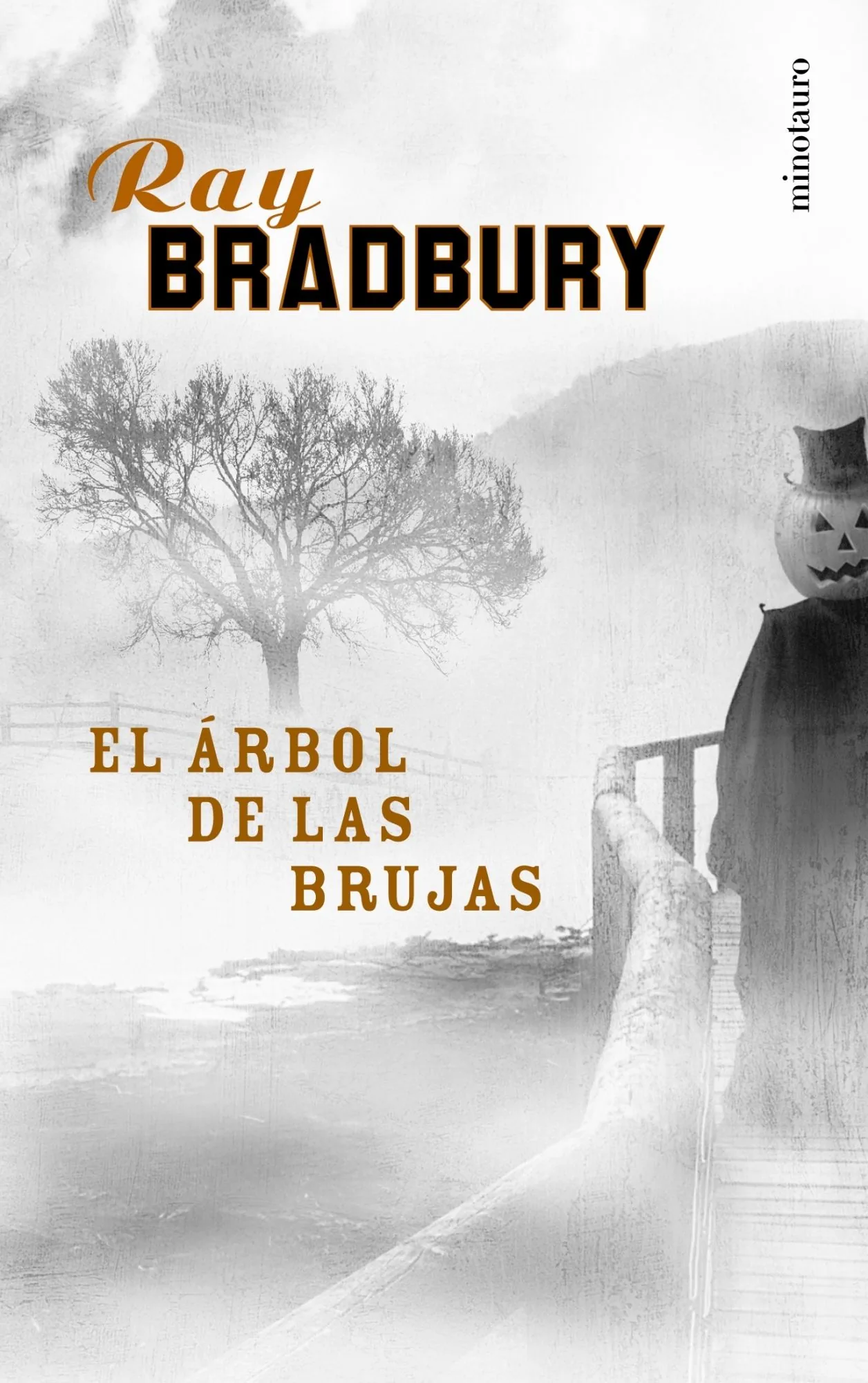 Portada — Booket (ISBN 9788445074183)