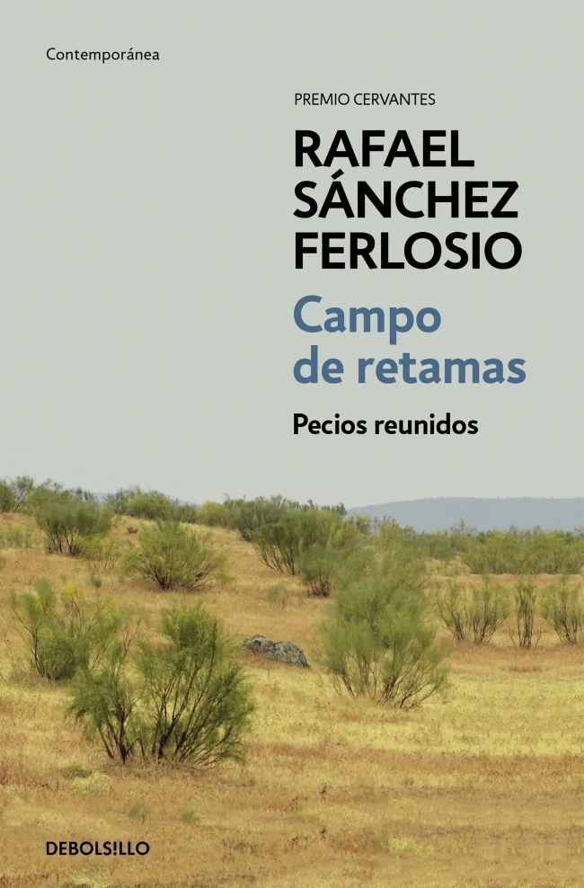 Portada — DEBOLSILLO (ISBN 9788466333177)