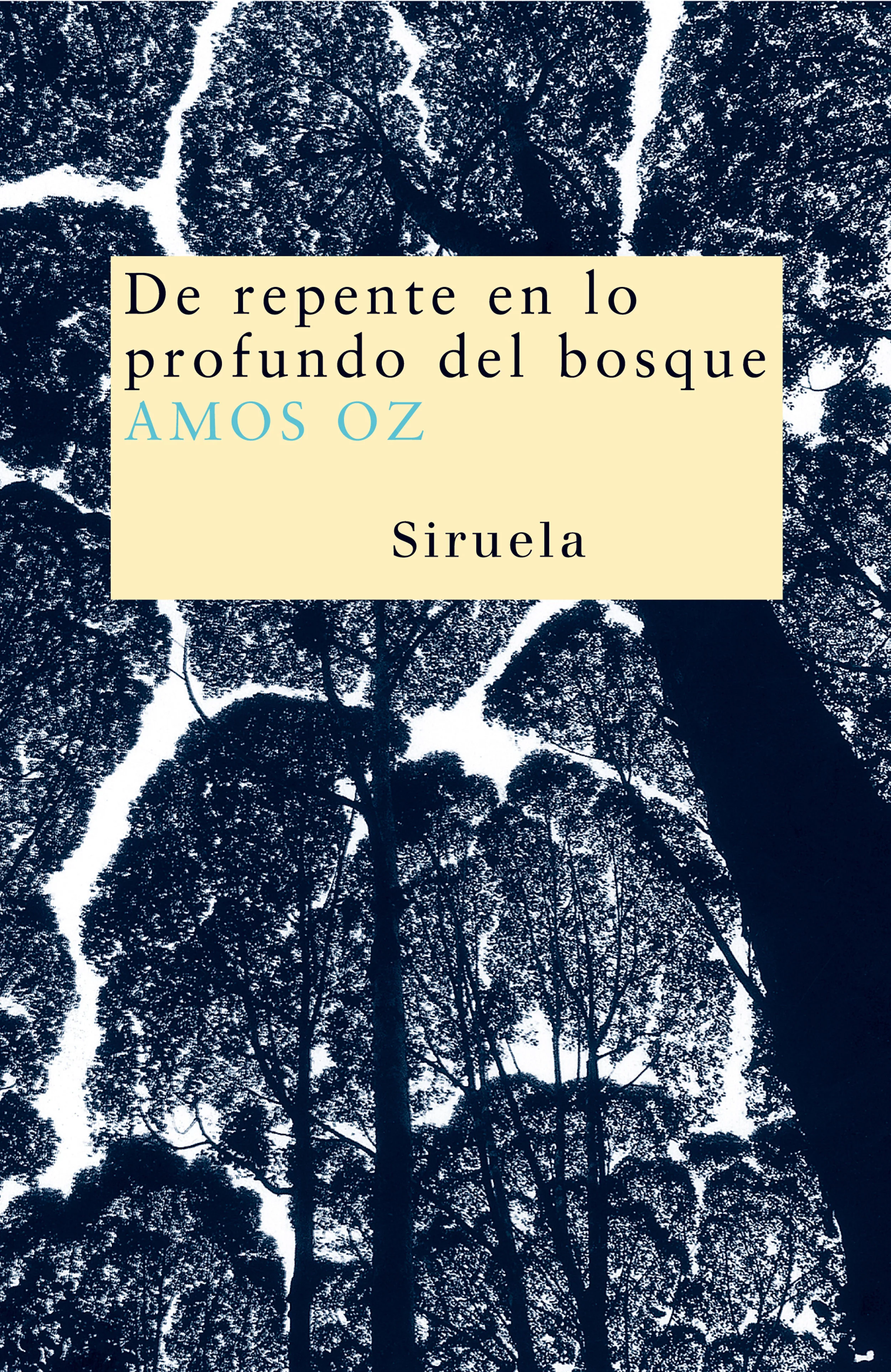 Portada — Siruela (ISBN 9788478449460)