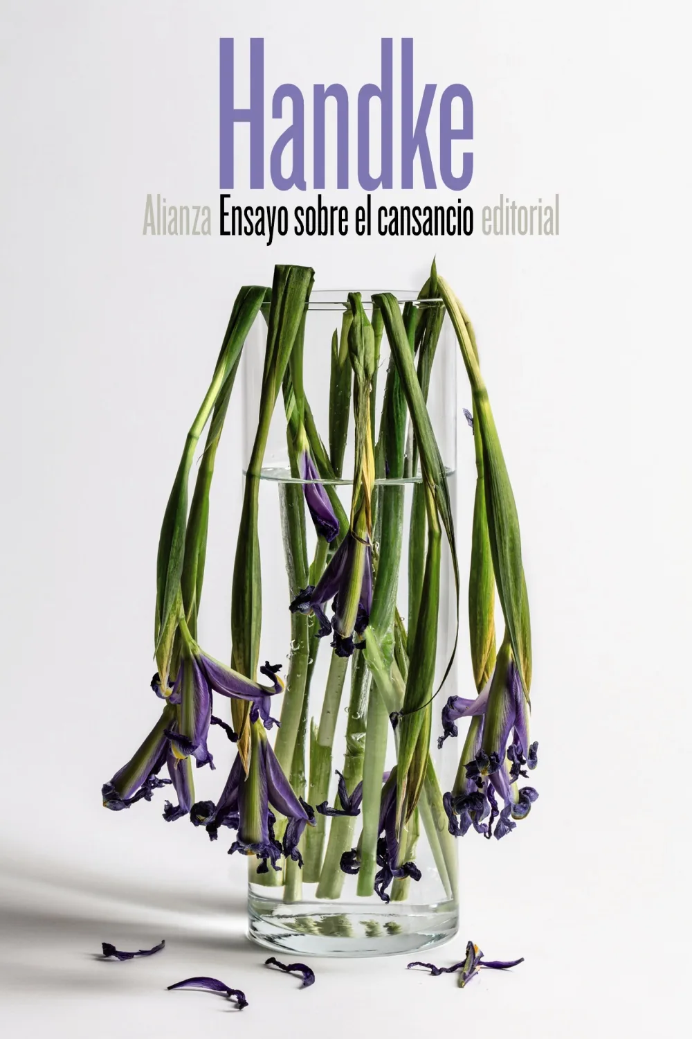 Portada — Alianza Editorial (ISBN 9788491046370)