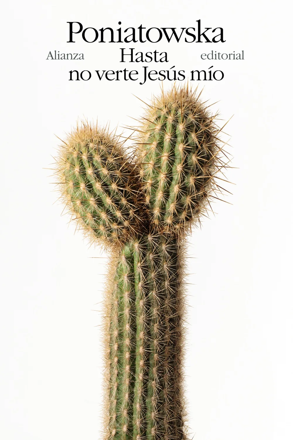 Portada de Hasta no verte, Jesús mío