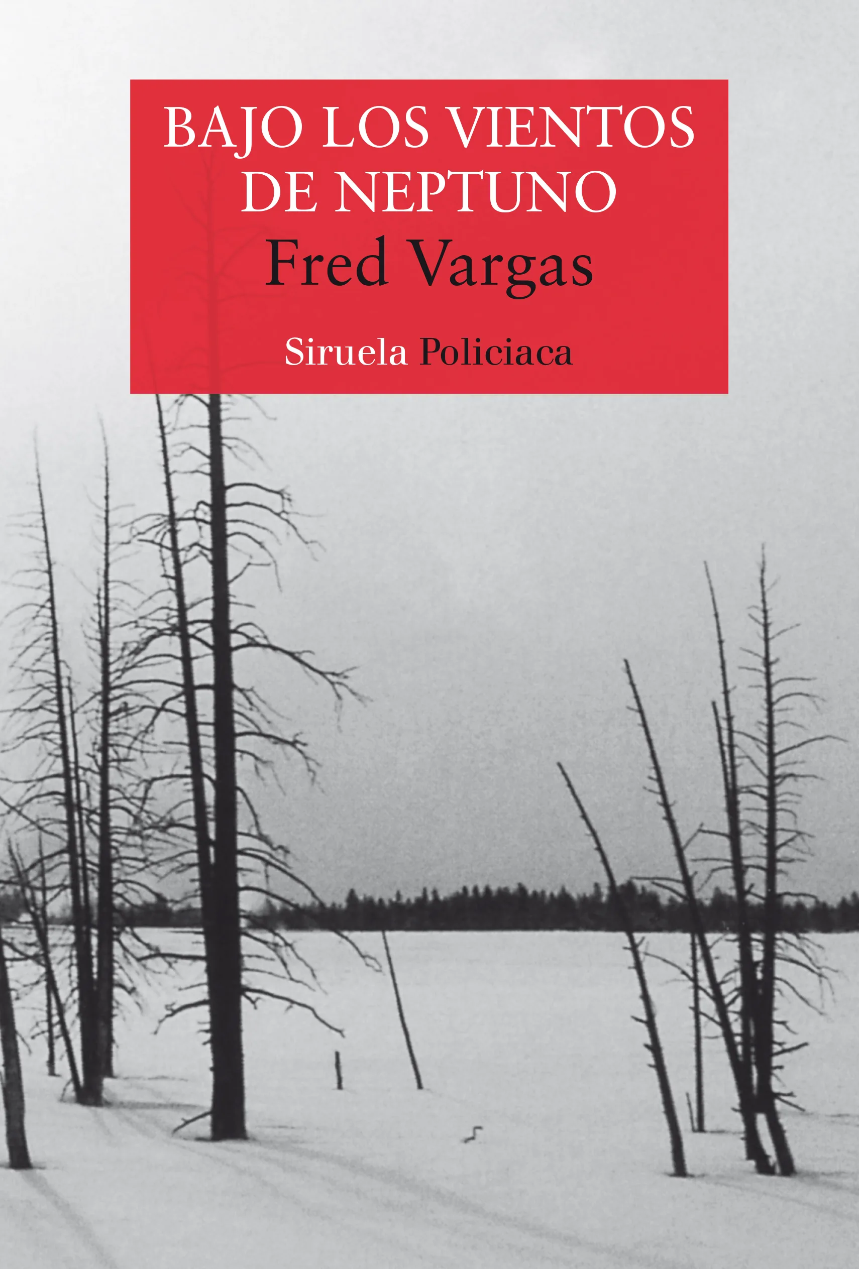 Portada — Siruela (ISBN 9788498410204)