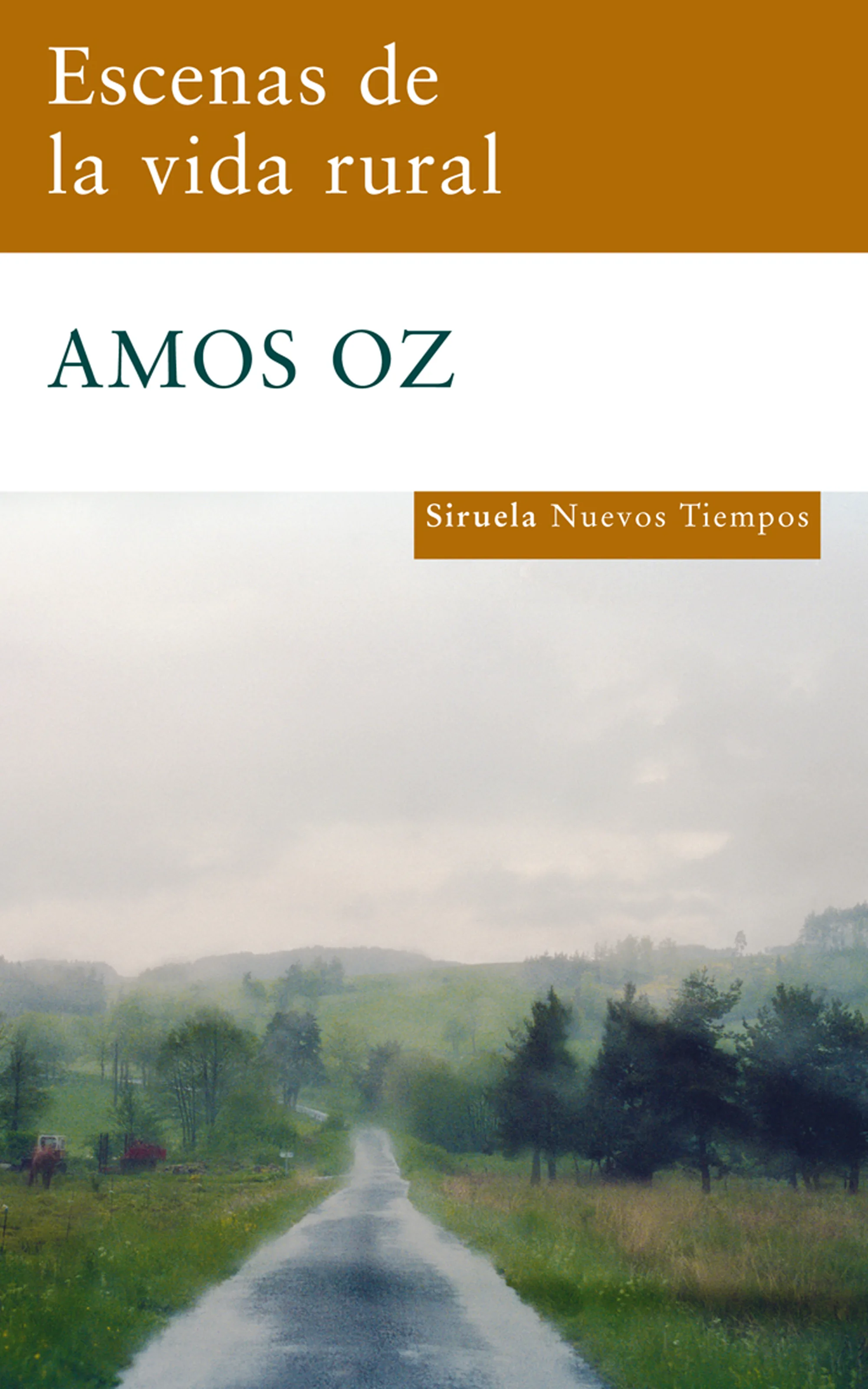 Portada — Siruela (ISBN 9788498413779)